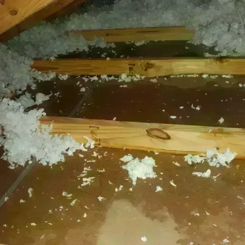 Attic Water Damage in Santa Anna, TX