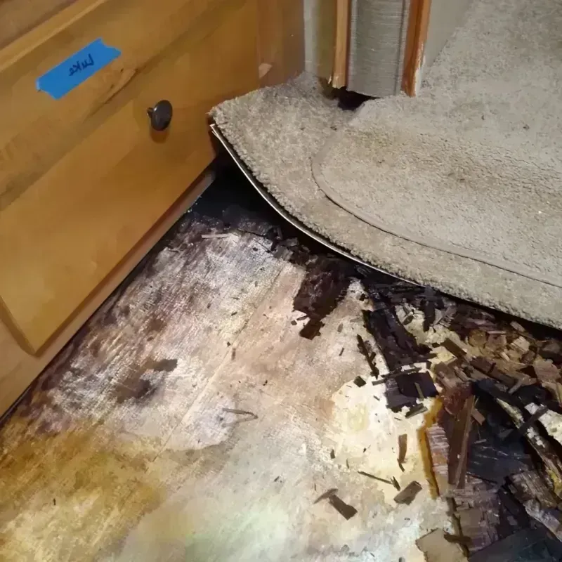 Best Wood Floor Water Damage Service in Santa Anna, TX